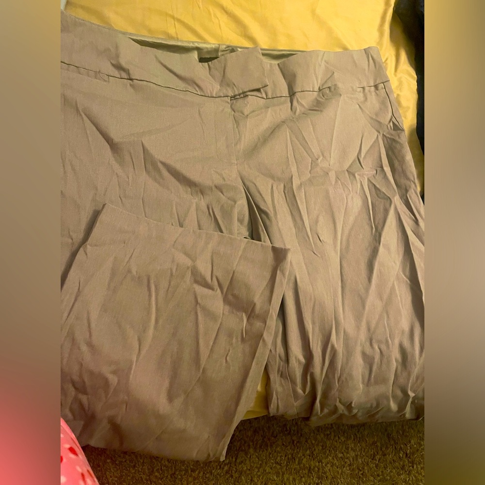 Torrid 30r slacks brand new without tags 4x